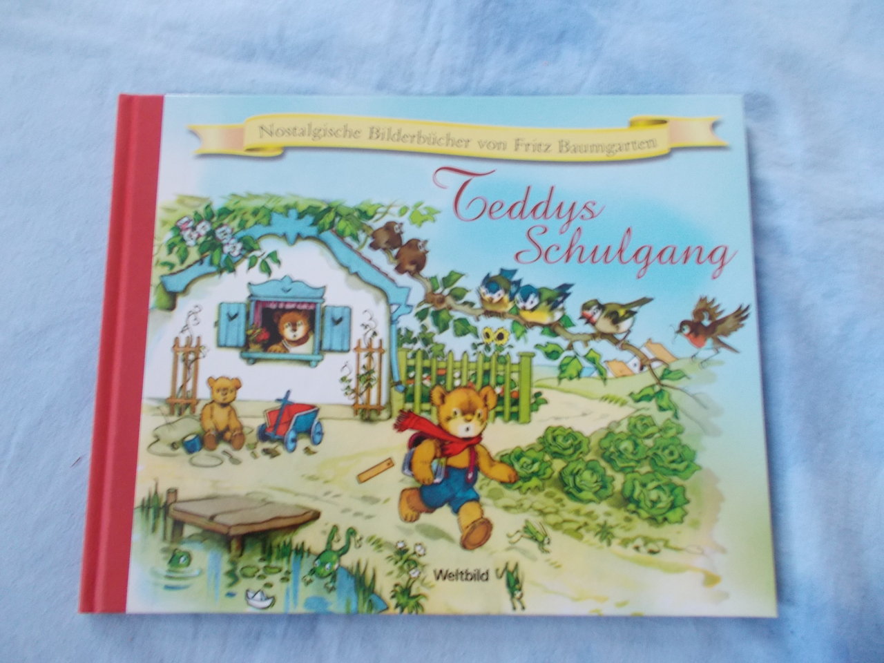 Buch Teddys Schulgang TuG-B460